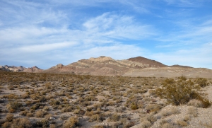 Desert1